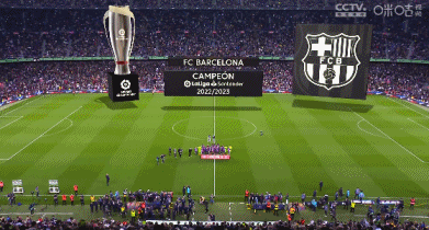 足协杯夺冠次数排名：山东8次居首，国安5次独居次席（足协杯夺冠次数榜：山东8冠领跑，国安5冠独占第二）